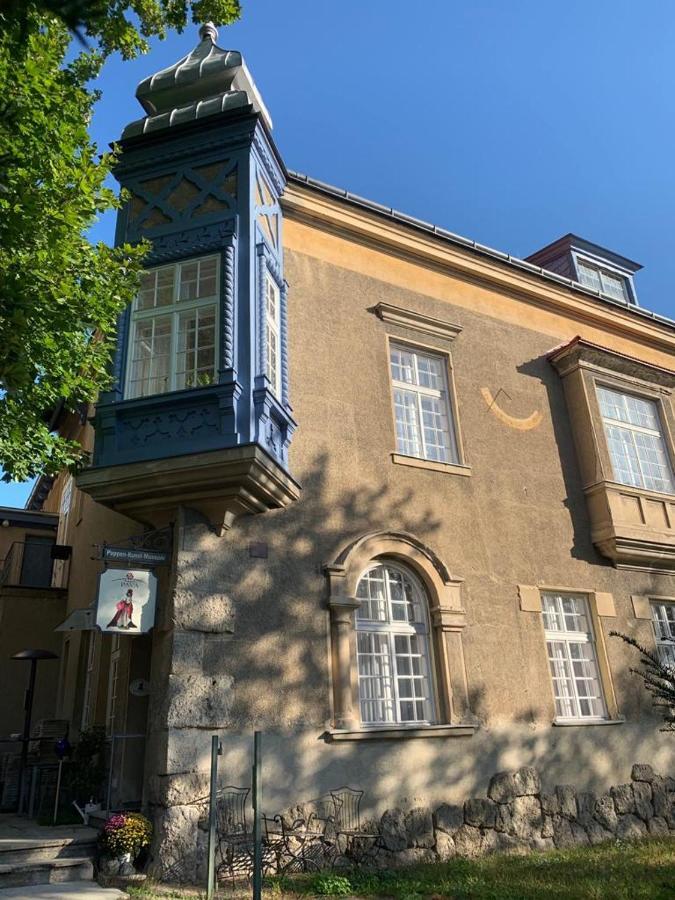 Villa Pazelt Bad Voeslau Esterno foto